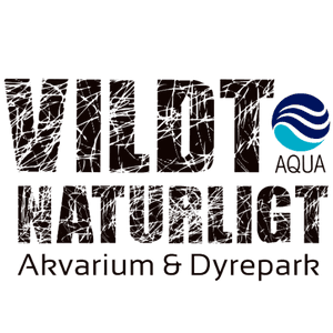 Få 20 % i AQUA Akvarium & Dyrepark